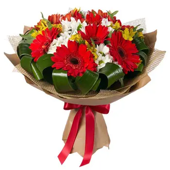 12 Red Gerberas with Seasonal Blooms