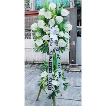 Product Description:

Express your deepest sympathies and honor the memory of a loved one with our Anthurium and Mums Funeral Arrangement. This elegant arrangement combines the vibrant, heart-shaped anthuriums with mums' soft, comforting presence, symbolizing both love and remembrance.

The anthuriums, with their bold red or white hues, convey heartfelt emotions and a lasting tribute, while the mums, traditionally associated with remembrance, add a gentle touch of peace and solace. Carefully arranged by our expert florists, this bouquet is designed to bring comfort and beauty to any funeral or memorial service.

Whether placed on a casket, used as a standing spray, or displayed as a centerpiece, the Anthurium and Mums Funeral Arrangement is a meaningful way to pay respect and offer condolences during difficult times.

Substitution Policy: To arrange and deliver your order at the time/day requested, the arrangement you ordered may require substitutions. We know that what you see is what you'd like to have delivered, so any substitutions made are equal or more in value and will be as similar to the requested arrangement as possible. Substitutions will be made, if necessary, for assorted flower arrangements and potted plants to provide the same colors as shown. This means that the type of flower or plant may change to something equal or greater in value. We will strive to maintain consistency in flower arrangements and potted plants of a single type, however, the color may be changed. Containers may also be substituted. Substitutions may also be made in the contents or containers of gourmet baskets, fruit trays, and other specialty gifts. Again, any replacements will be of equal or greater value and be similar.