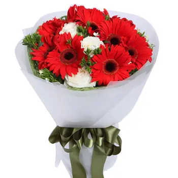 12 Red Gerberas and Roses in a Bouquet