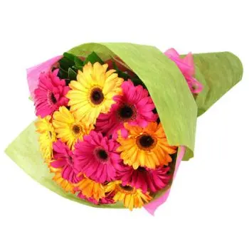 12 Pink and Yellow Gerberas