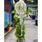 Majestic Tribute Anthurium & Mums Standing Spray