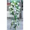Product Description:

Express your deepest sympathies and honor the memory of a loved one with our Anthurium and Mums Funeral Arrangement. This elegant arrangement combines the vibrant, heart-shaped anthuriums with mums' soft, comforting presence, symbolizing both love and remembrance.

The anthuriums, with their bold red or white hues, convey heartfelt emotions and a lasting tribute, while the mums, traditionally associated with remembrance, add a gentle touch of peace and solace. Carefully arranged by our expert florists, this bouquet is designed to bring comfort and beauty to any funeral or memorial service.

Whether placed on a casket, used as a standing spray, or displayed as a centerpiece, the Anthurium and Mums Funeral Arrangement is a meaningful way to pay respect and offer condolences during difficult times.

Substitution Policy: To arrange and deliver your order at the time/day requested, the arrangement you ordered may require substitutions. We know that what you see is what you'd like to have delivered, so any substitutions made are equal or more in value and will be as similar to the requested arrangement as possible. Substitutions will be made, if necessary, for assorted flower arrangements and potted plants to provide the same colors as shown. This means that the type of flower or plant may change to something equal or greater in value. We will strive to maintain consistency in flower arrangements and potted plants of a single type, however, the color may be changed. Containers may also be substituted. Substitutions may also be made in the contents or containers of gourmet baskets, fruit trays, and other specialty gifts. Again, any replacements will be of equal or greater value and be similar.